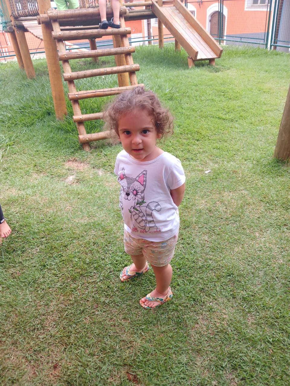 Primeiros passos da Mila